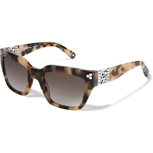 Brighton | Contempo Dot Sunglasses - bestdisneylandrvpark