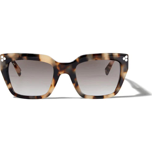 Brighton | Contempo Dot Sunglasses - bestdisneylandrvpark