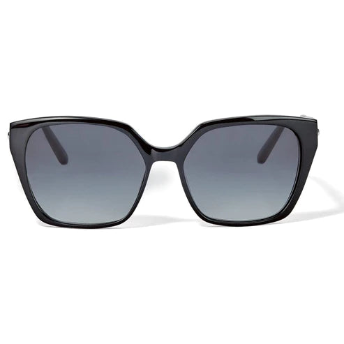 Brighton | Contempo Linx Sunglasses in Black - bestdisneylandrvpark