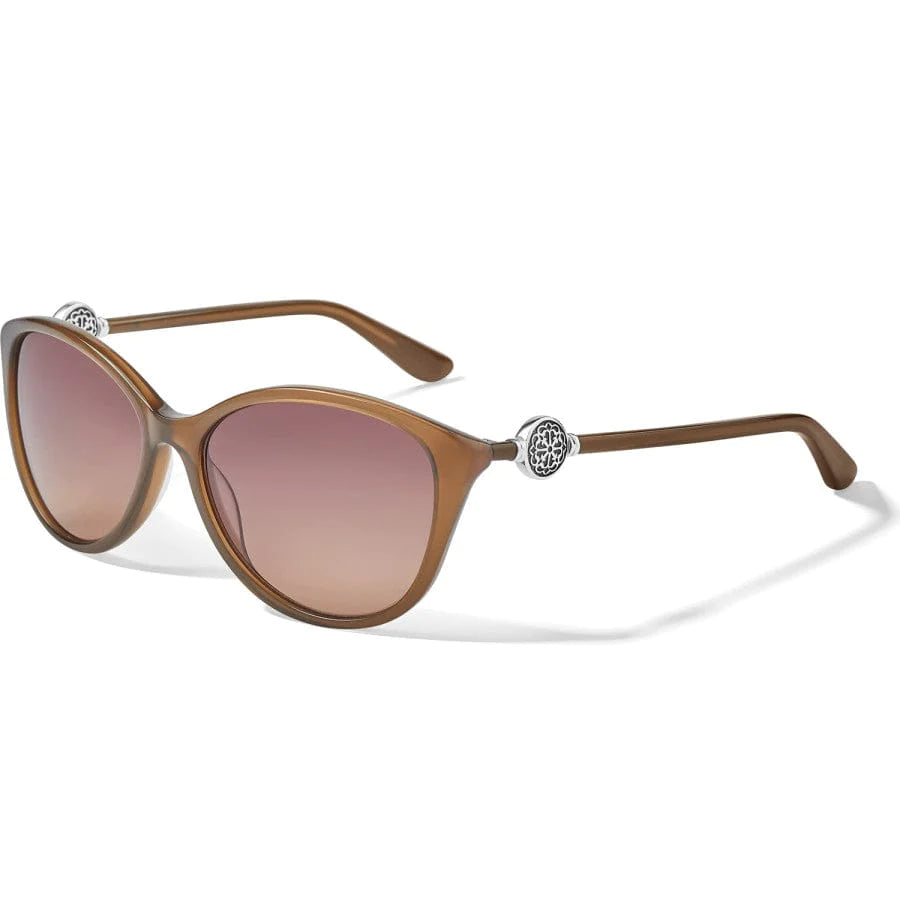 Brighton | Ferrara Sunglasses in Brown - bestdisneylandrvpark