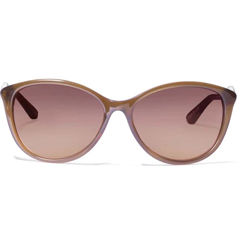 Brighton | Ferrara Sunglasses in Brown - bestdisneylandrvpark