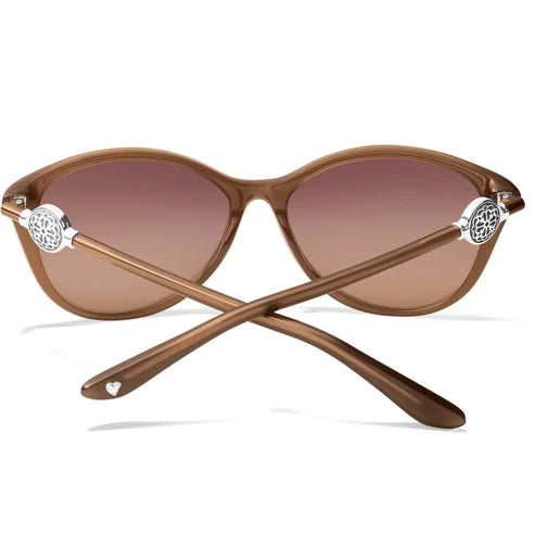 Brighton | Ferrara Sunglasses in Brown - bestdisneylandrvpark