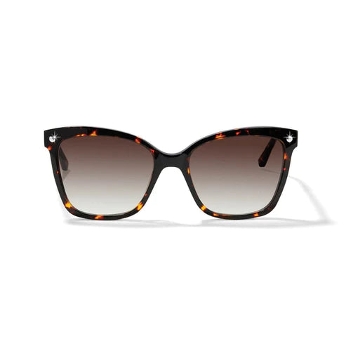 Brighton | Pretty Tough Pierced Stud Sunglasses - bestdisneylandrvpark