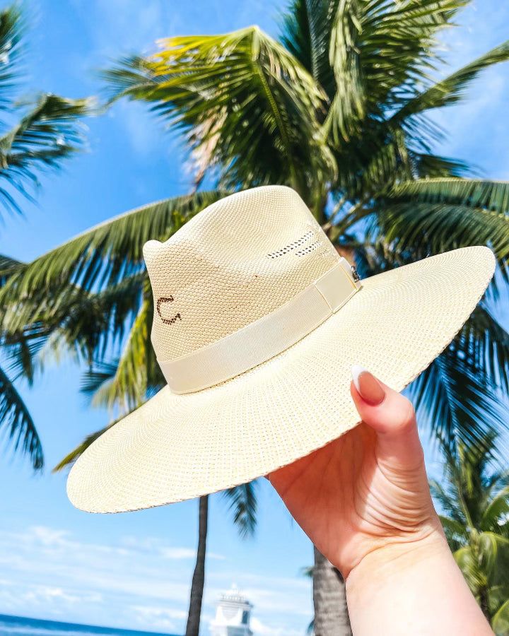 Charlie 1 Horse | Mexico Shore Straw Stiff Brim Hat with Thunderbird in Natural Tan - bestdisneylandrvpark